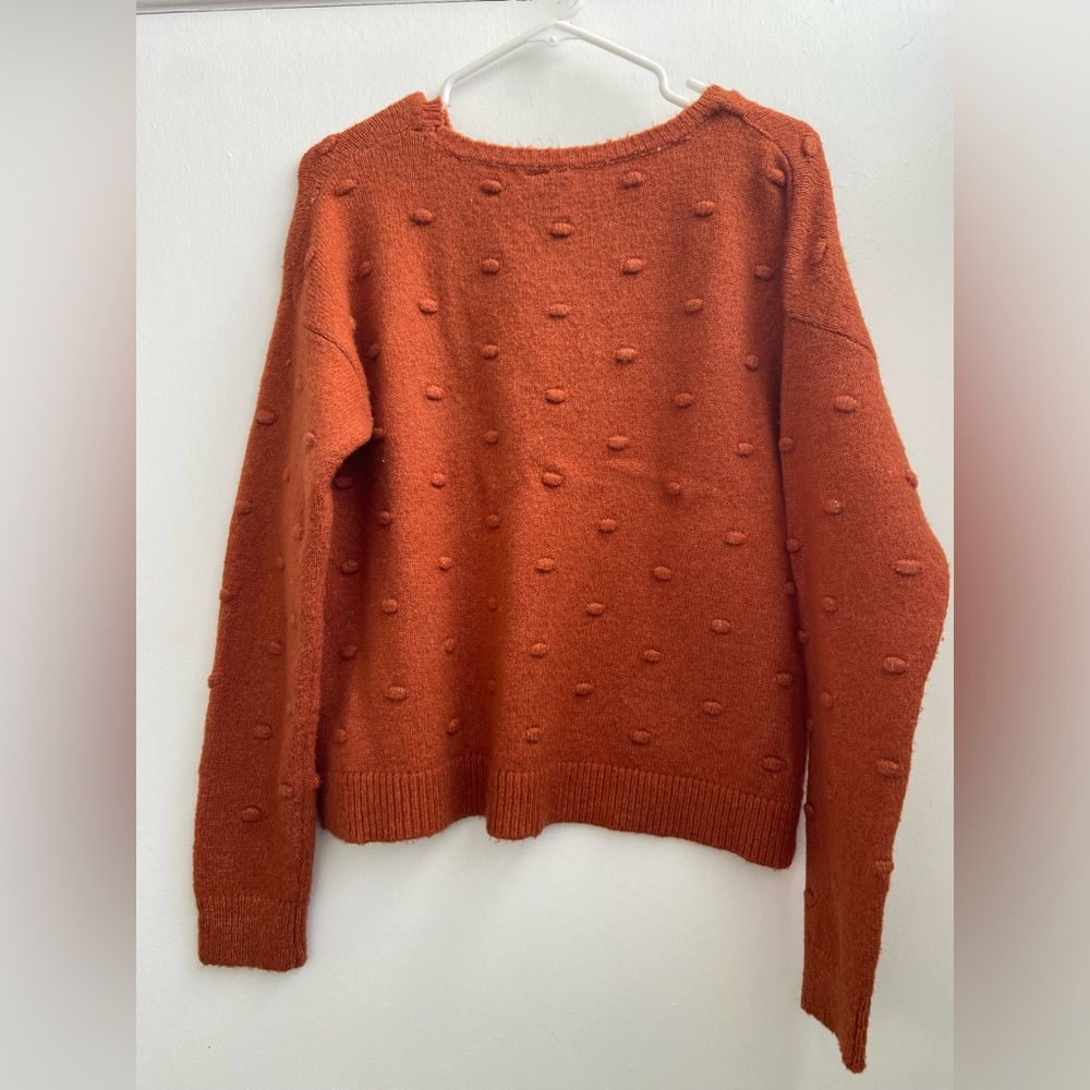 Burnt Orange sweater